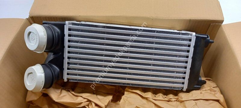 PEUGEOT/CITROEN 6208540 Ara Soğutucu, Şarj Cihazı