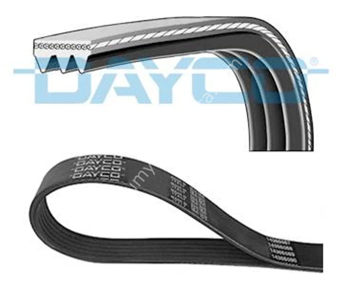 DAYCO 3PK800S V Kayışı