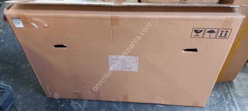 903006669R - arka ön cam