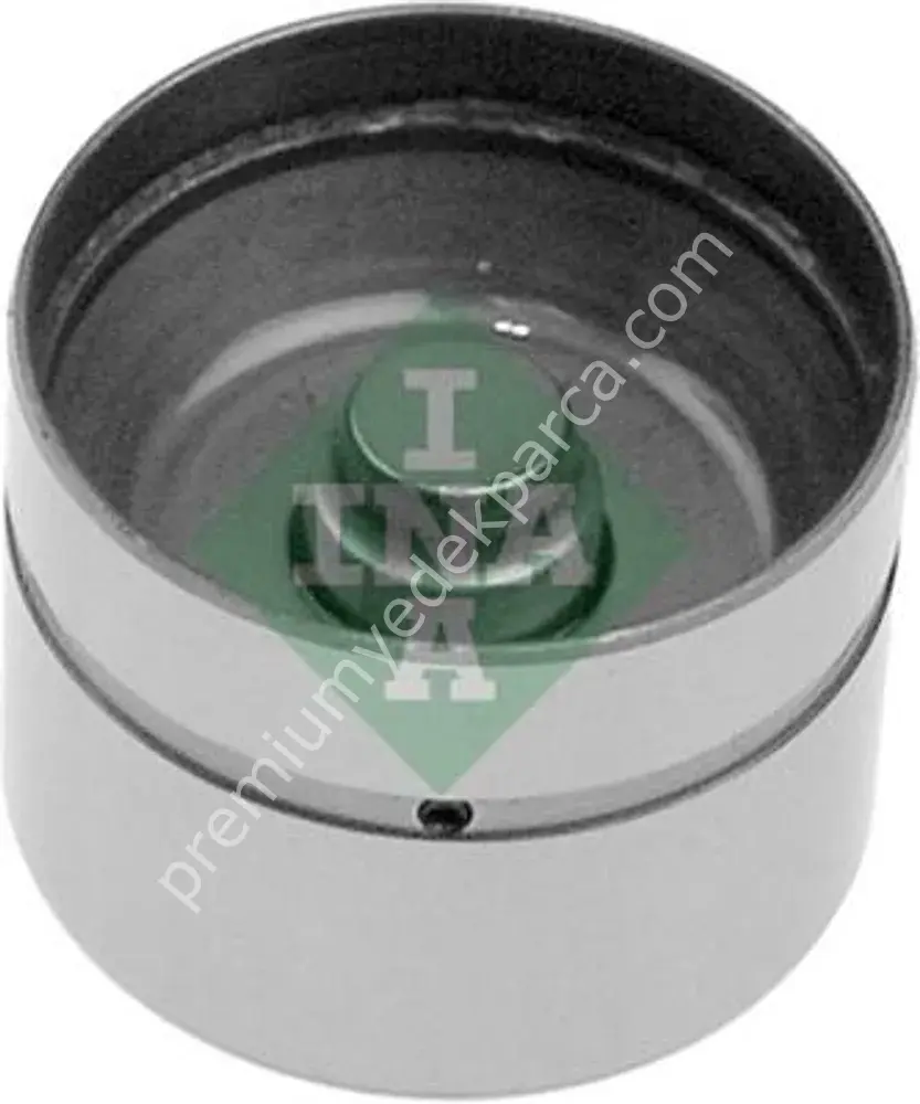 INA 420 0049 10 SUPAP ITICI