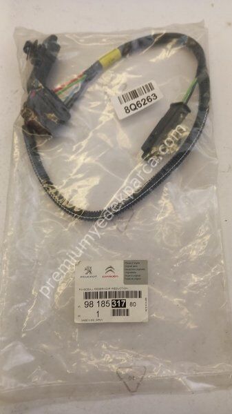 PEUGEOT/CITROEN 10810191 Kablo Demeti