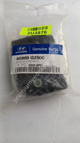 86968G2500 - radyatör deflektörü