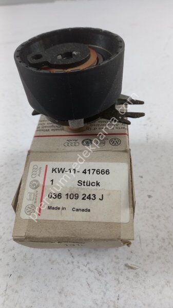 VAG 258139 Kayış Gergisi/Kasnak