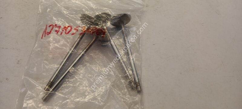 A2710531001 - giriş valfi