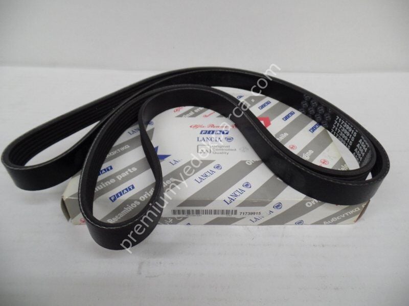 FIAT GROUP 294867 V-Kayış