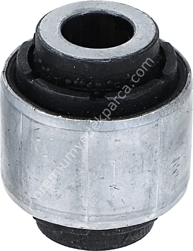 LEM 29918 01 SALINCAK BURCU ARKA