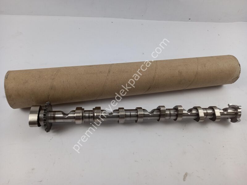 06F109101J - eksantrik mili