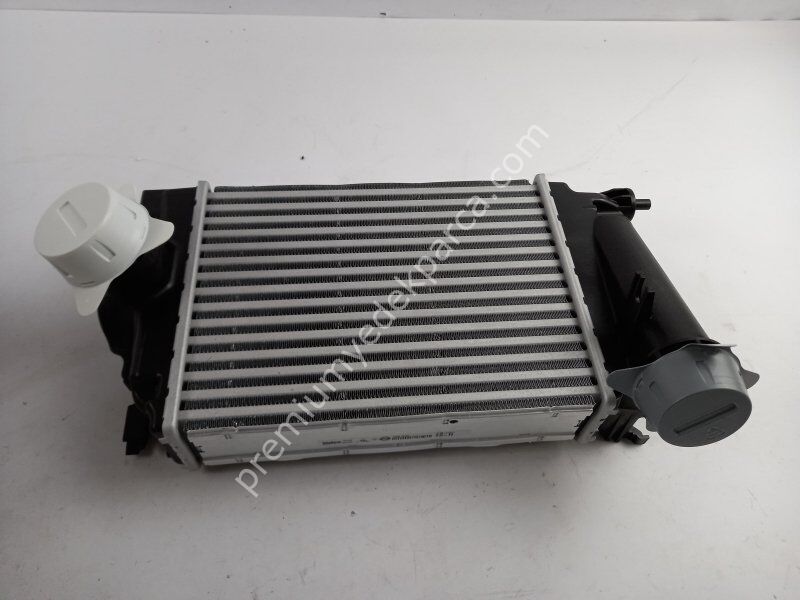 NISSAN 22017687 Ara Soğutucu, Şarj Cihazı