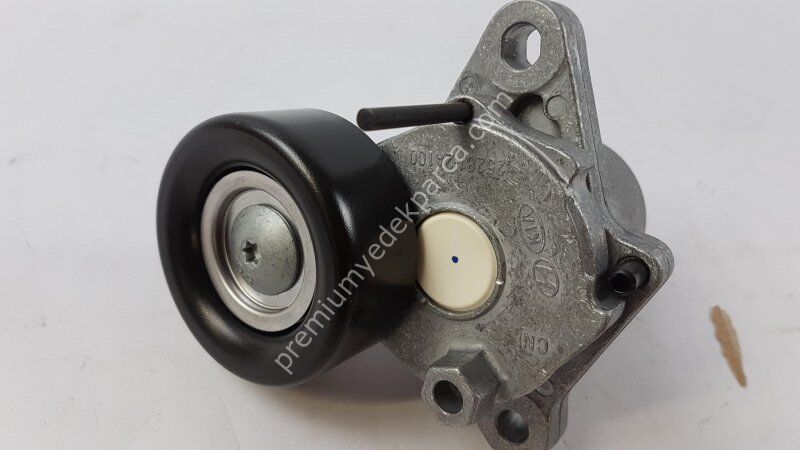 HYUNDAI/KIA 550363 Kayış Gergisi/Kasnak