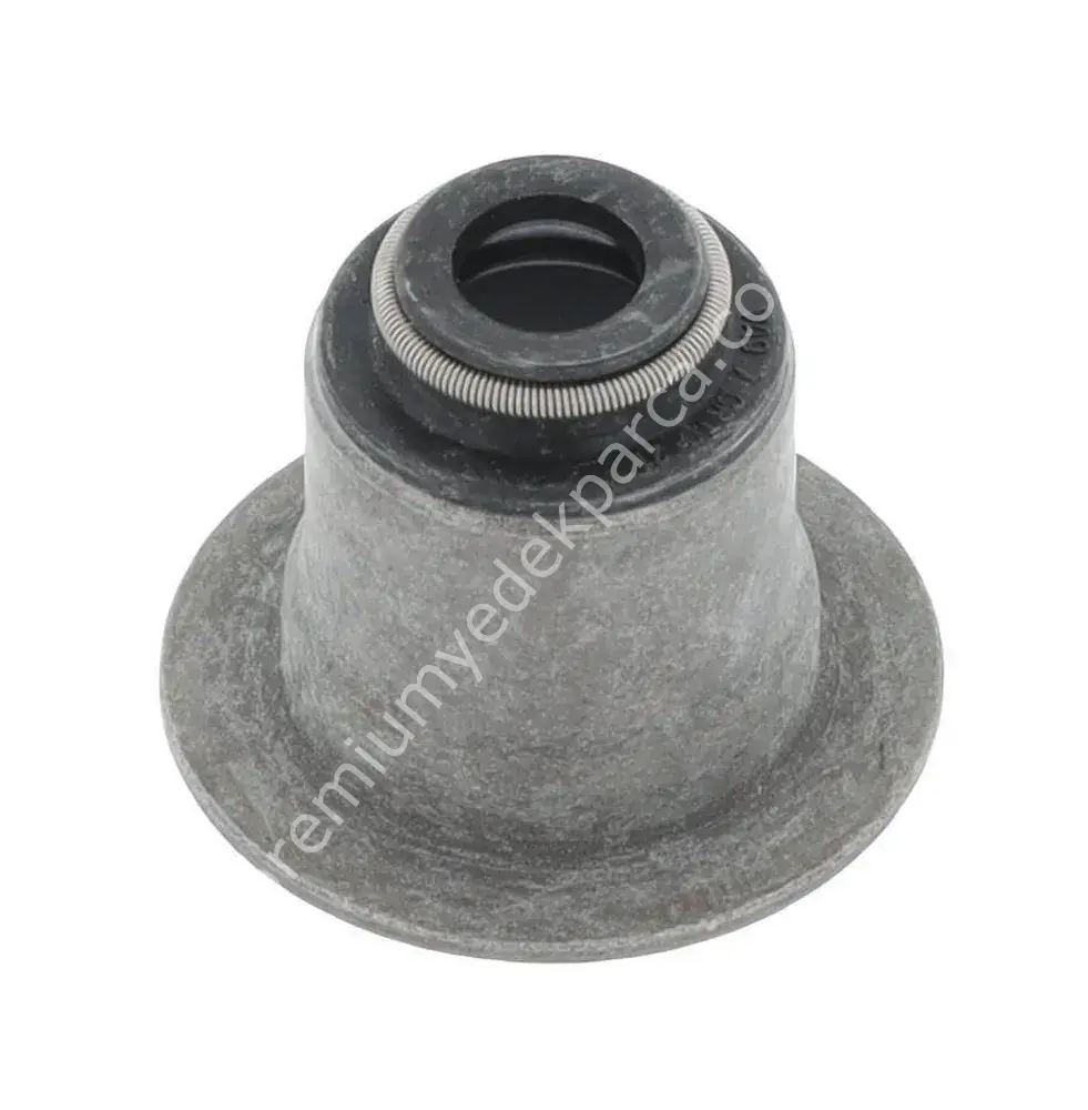 COR 19036760 SUPAP LASTIGI