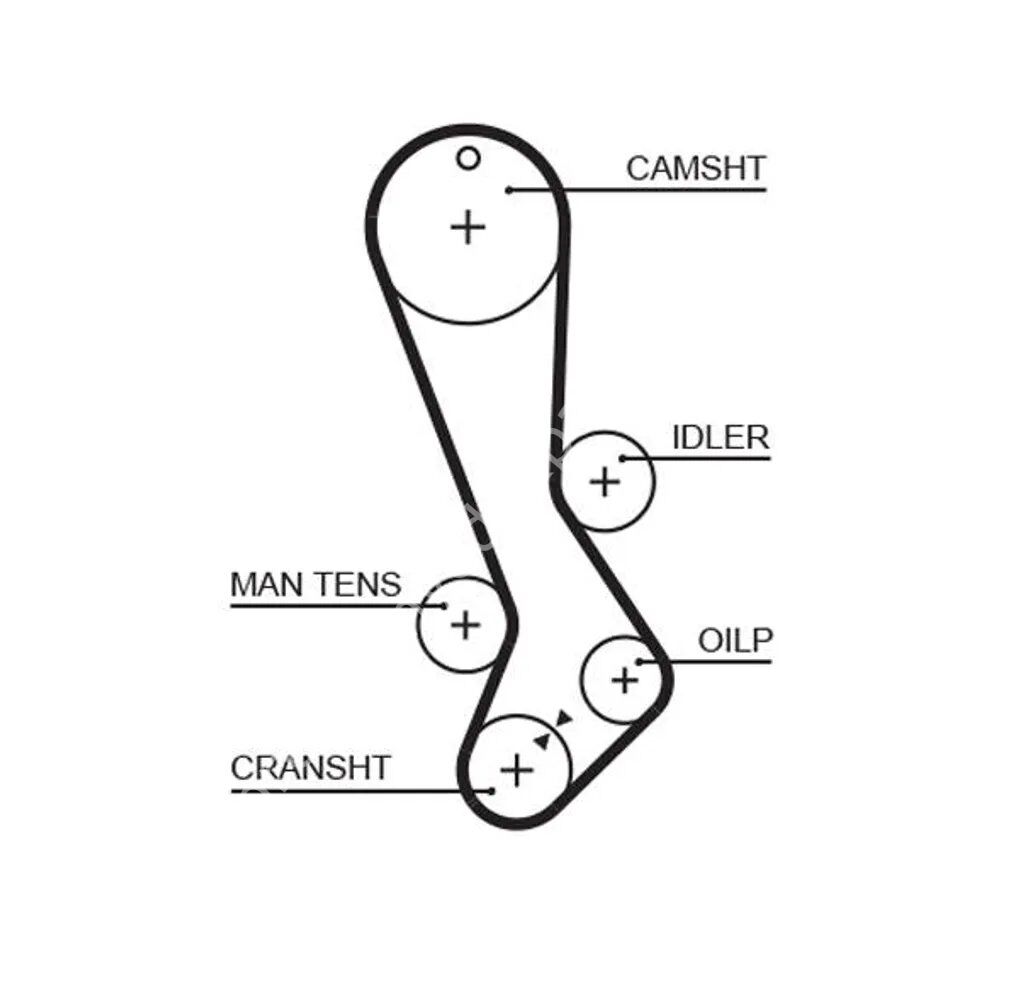 GATES 5282XS Triger Kayışı