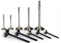 GUNES 6816-6817 Supap Takım Clıo Iı Clıo Iıı Thalıa Modus 1.2 16v D4f