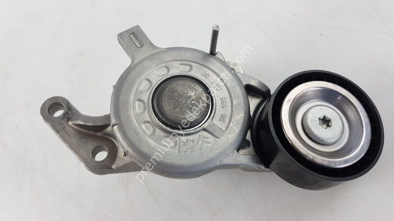 PEUGEOT/CITROEN 10810137 Kayış Gergisi/Kasnak