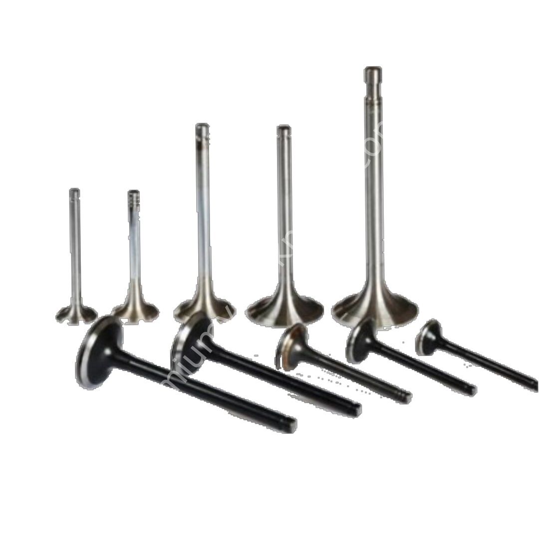 GUNES 4613-4614 Supap Takımı Clıo Iı Clıo Iıı Captur Clıo Iv Dokker Duster Lodgy Logan Kadjar Kangoo Iı Kangoo Iıı Laguna Iıı Latıtude Fluence Megan