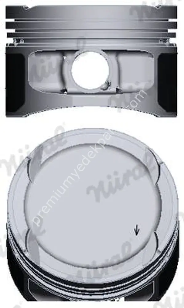 FM 87-436900.00 PISTON+SEGMAN