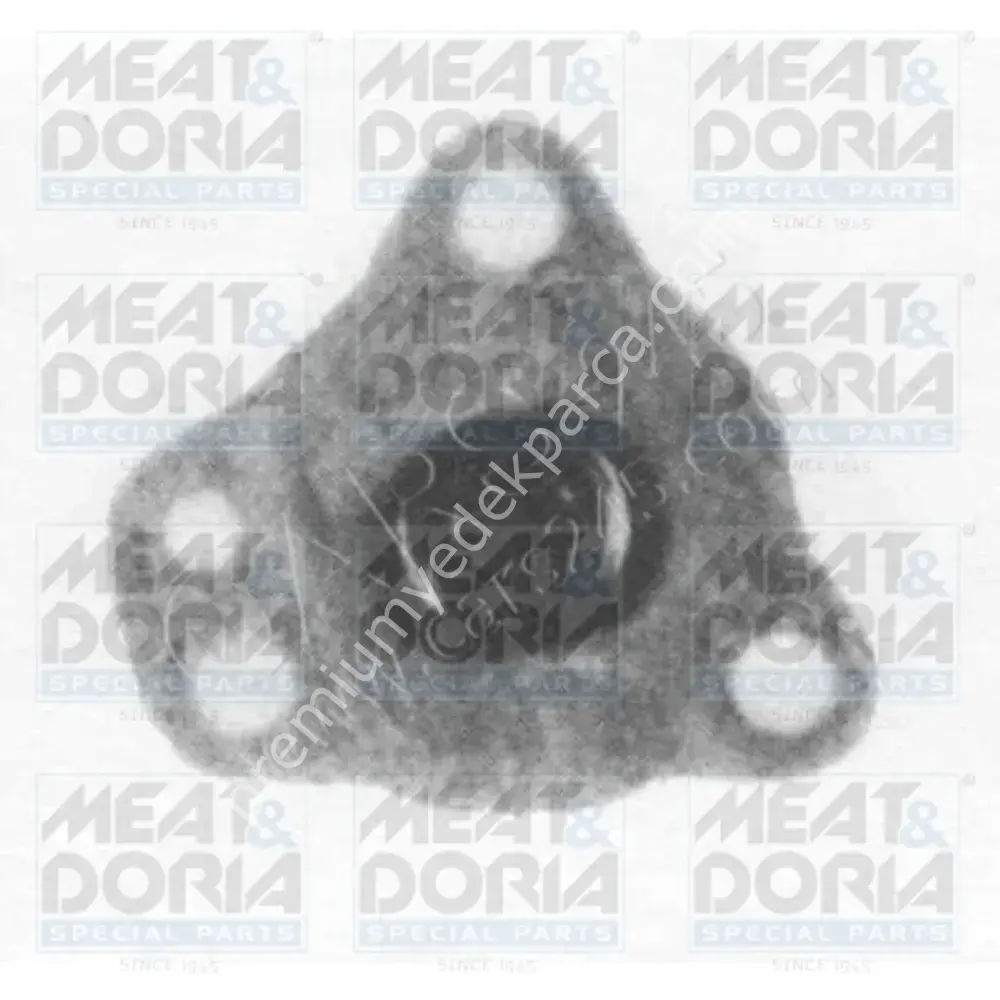 HNG H17WK09 YAKIT FILTRESI