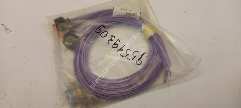 95519309 - tamir kiti