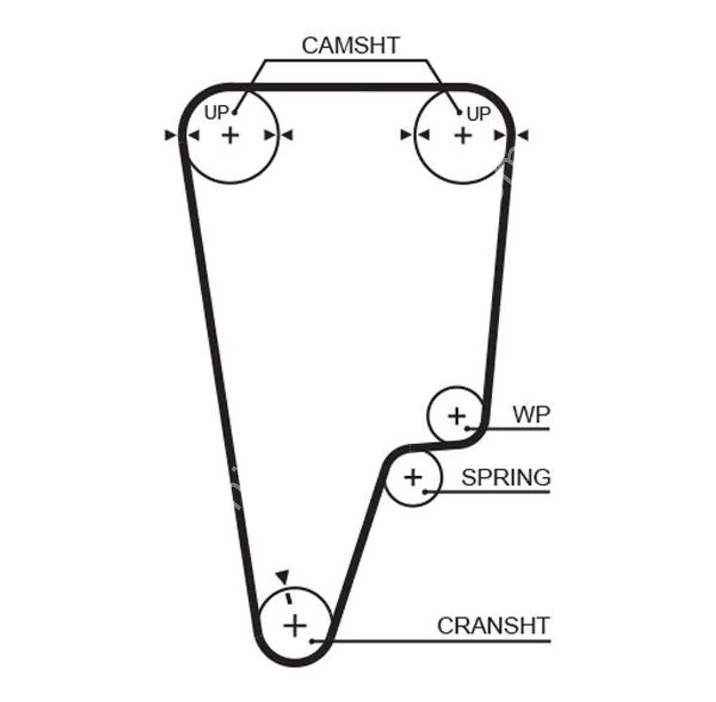 GATES 5505XS Triger Kayışı