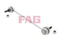 FAG 818 0119 10 Viraj Askı Rotu Ön
