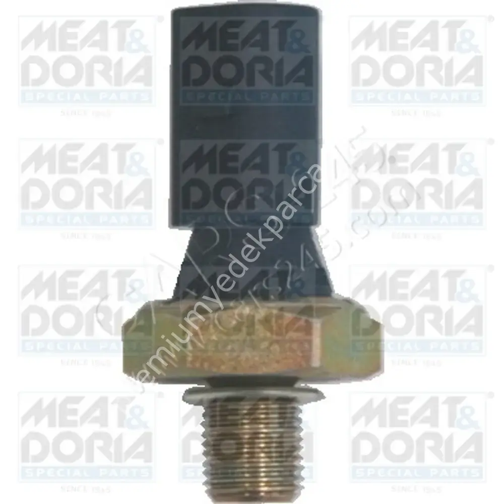 DAY 7PK2005 V KAYISI