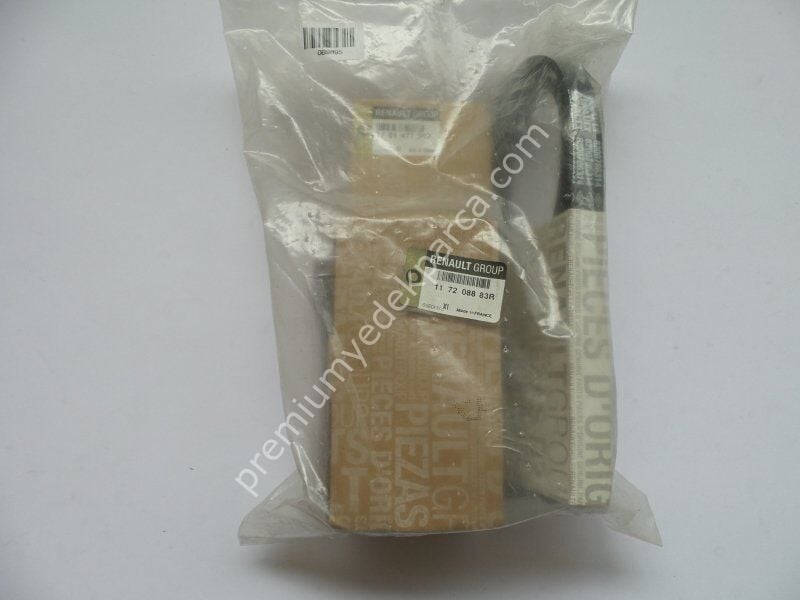 RENAULT 1075020 V Kayışı Kiti