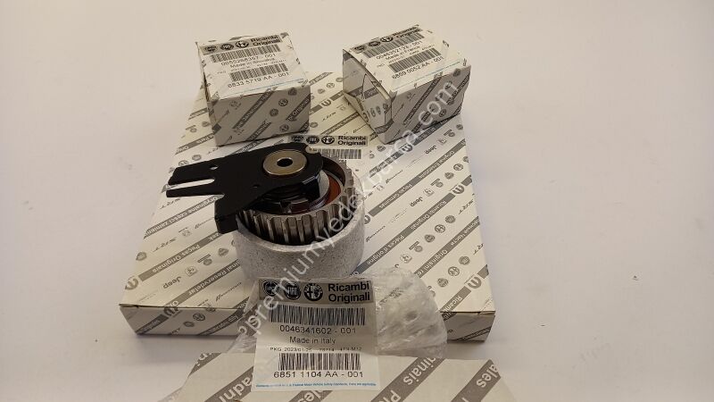 6000629053 - triger kayışı kiti