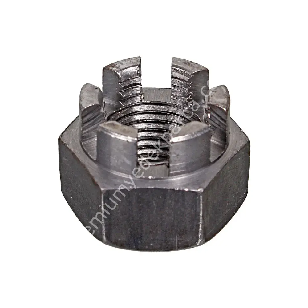 GDY 101026 FREN BALATASI ARKA