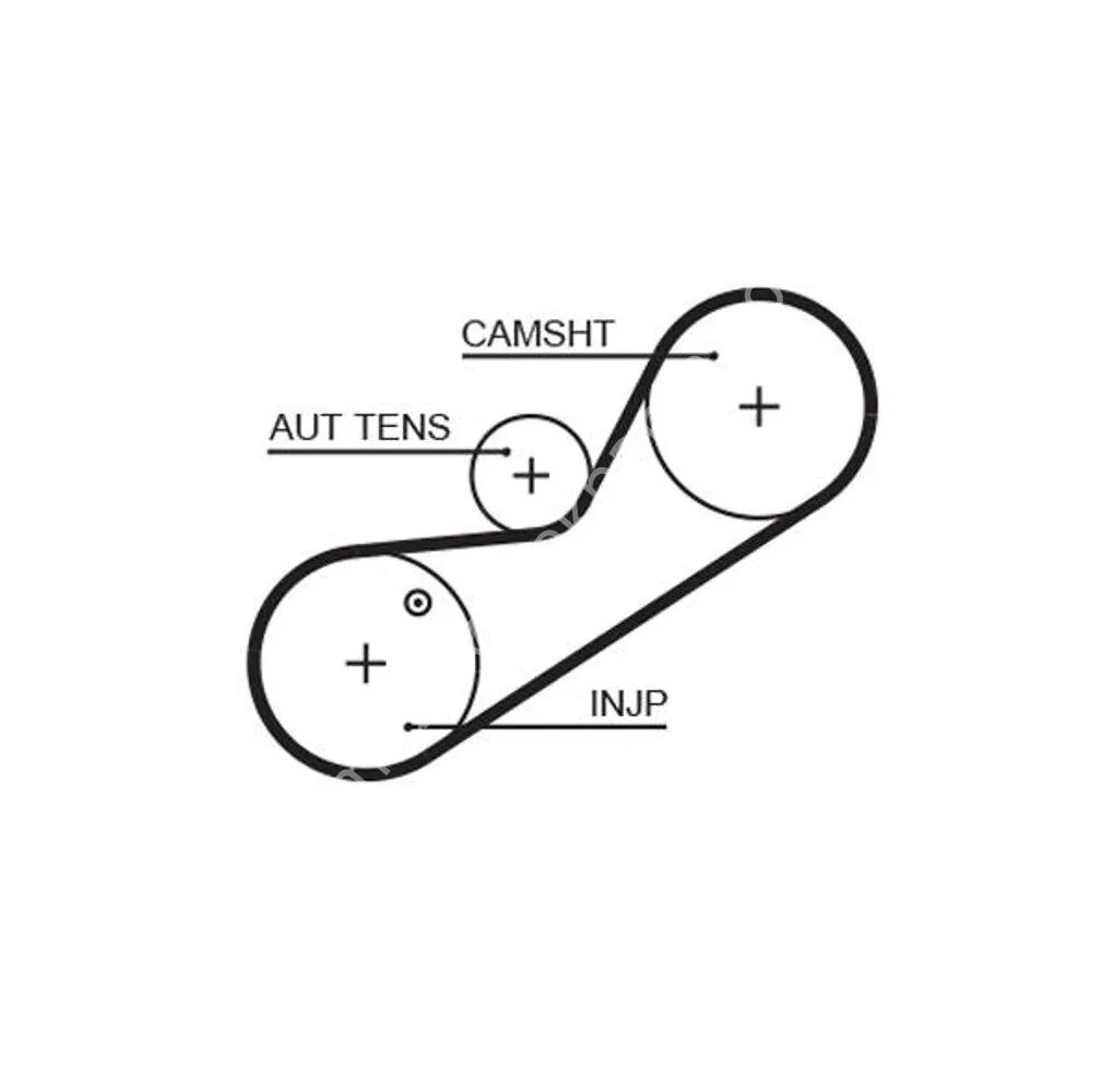 GATES 5546XS Triger Kayışı