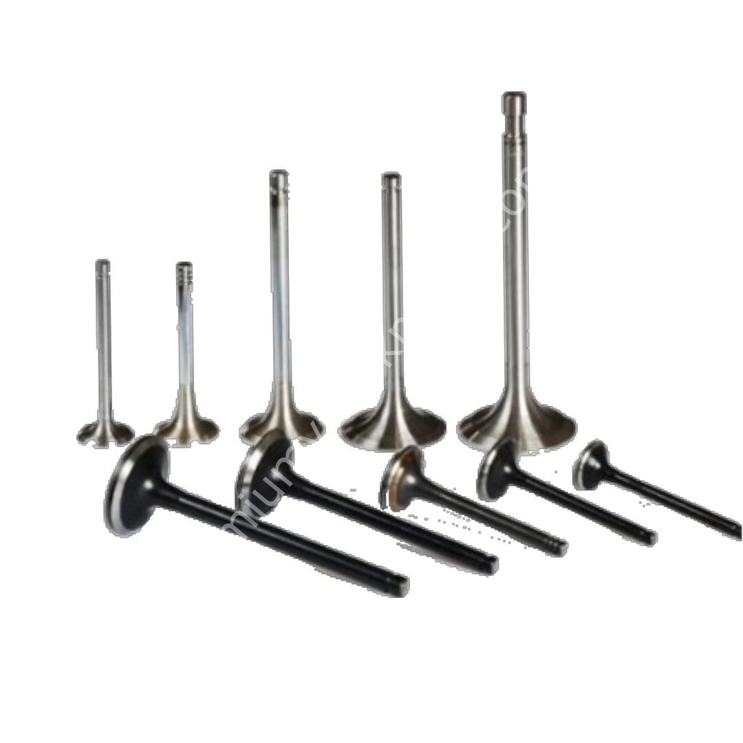 GUNES GNS-4613-4614 Supap Takımı Clıo Iı Clıo Iıı Captur Clıo Iv Dokker Duster Lodgy Logan Kadjar Kangoo Iı Kangoo Iıı Laguna Iıı Latıtude Fluence Megan