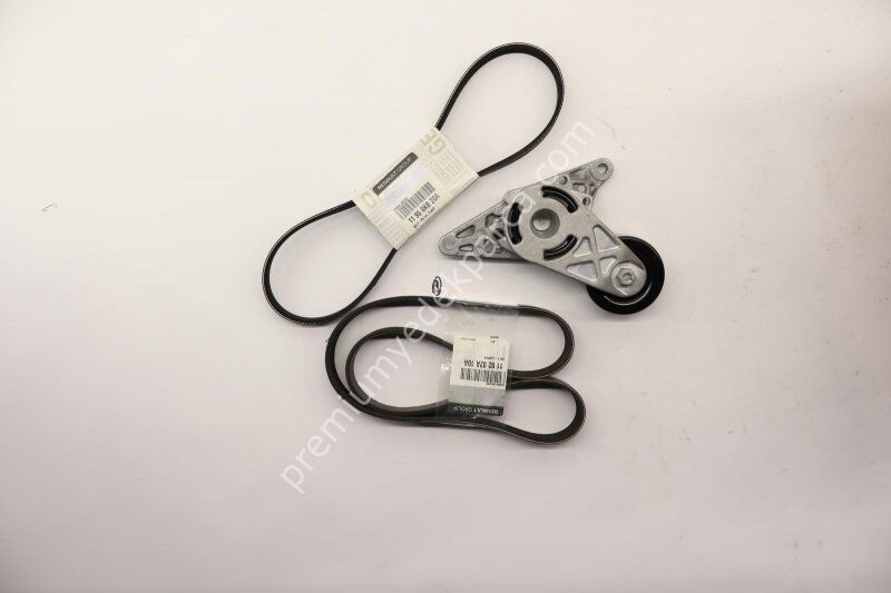 RENAULT 17947071 V Kayışı Kiti