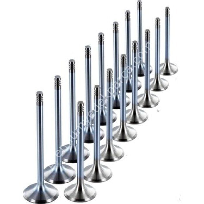 SUPAR SUP-105323116 Subap Takım Clıo Iı Symbol Thalıa Megane I Megane Iı 1.4 16v K4j Clıo Iıı Duster Logan Laguna Iı Fluence Modus Megane I Megane Iı 1